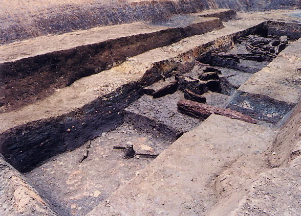 島根大学構内遺跡10次調査（橋本地区3）　第5～6層における材出土状況（A区・北東から）