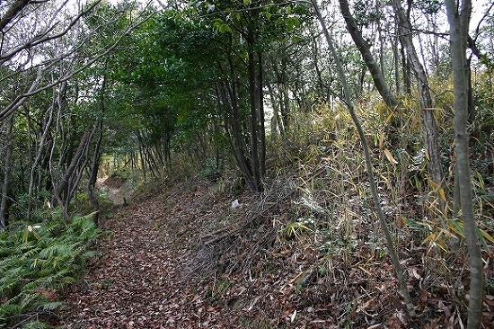 東百塚山古墳群（2004年1月12日撮影）