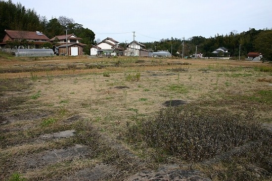 出雲国分寺　（南西から、2004年1月12日撮影）