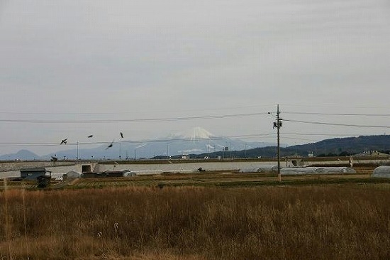 出雲国分寺から大山を望む（2004年1月12日撮影）
