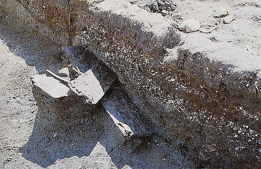 西川津遺跡（海崎地区）　貝層I 　木製農耕具出土状態