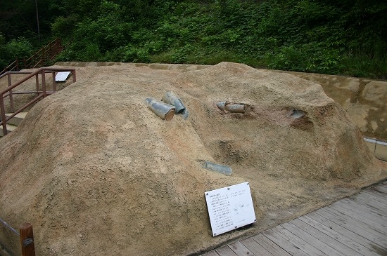 整備された加茂岩倉遺跡（2004年6月26日撮影）