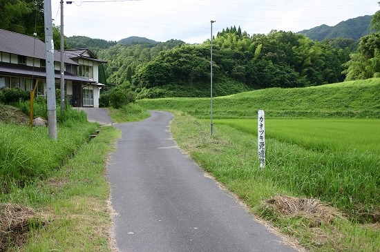 カネツキ免遺跡遠景（2004年7月17日撮影）