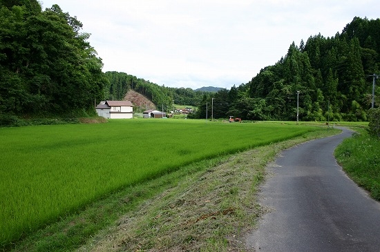 カネツキ免遺跡遠景（2004年7月17日撮影）