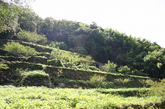 清水谷精錬所跡遠景（2004年8月15日撮影）