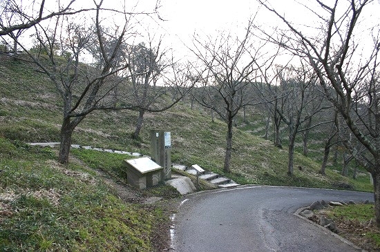 仲仙寺墳墓群遠景（2004年11月20日撮影）