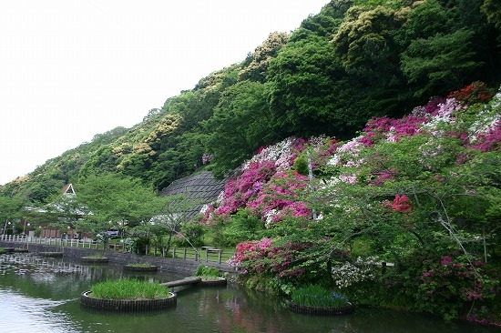 七尾城堀のなごりといわれる池（2005年5月6日撮影）