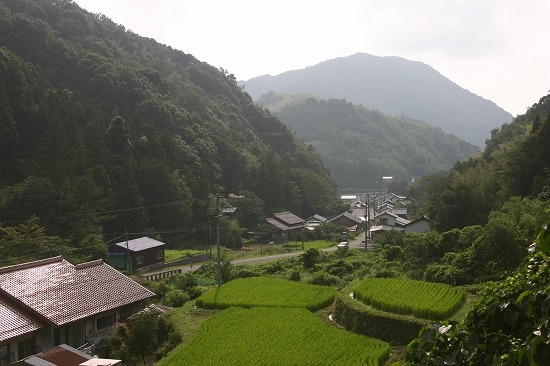 銀山街道から見下ろした西田集落（2005年7月30日撮影）