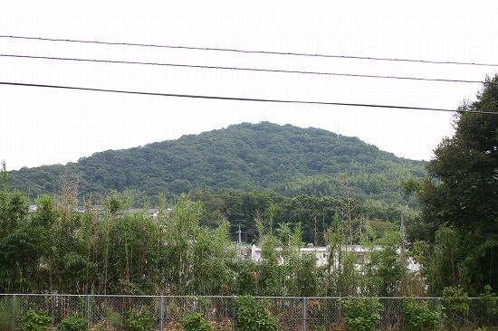 来美廃寺からのぞむ茶臼山（2005年8月20日撮影）