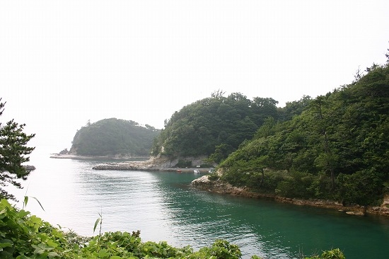 沖泊の入り江（2005年7月30日撮影）