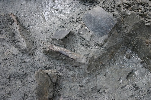 縄文土器出土状態（第6層）