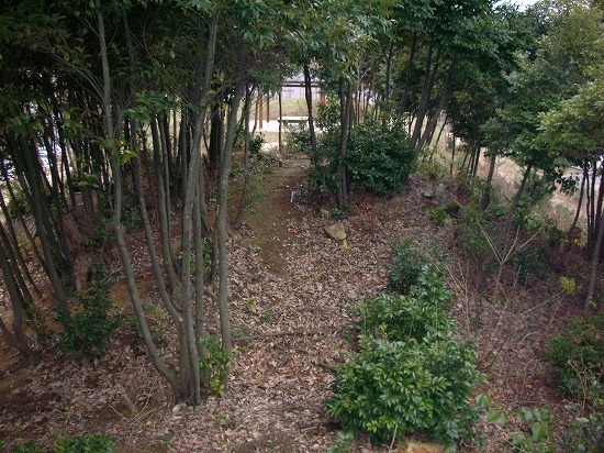 堀部5号墳（2006年2月11日撮影）