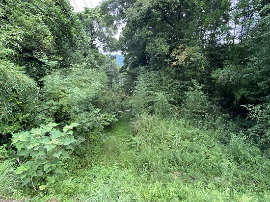 山陰道・土床坂（西から、2025.9.8）