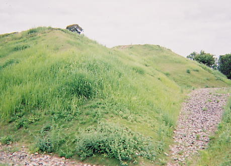 復元された小丸山古墳　前方部裾から後円部を望む（1999年撮影）