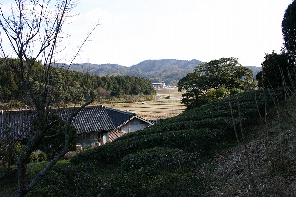 岩屋古墳からの眺め（2004年2月8日撮影）