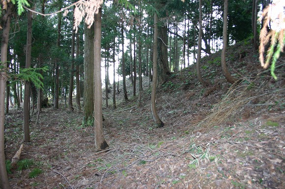 薄井原古墳　後方部から前方部を見る（2004年1月31日撮影）