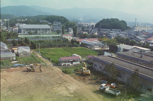 島根大学構内遺跡5次調査（京田地区1）　調査前2（1996年8月）