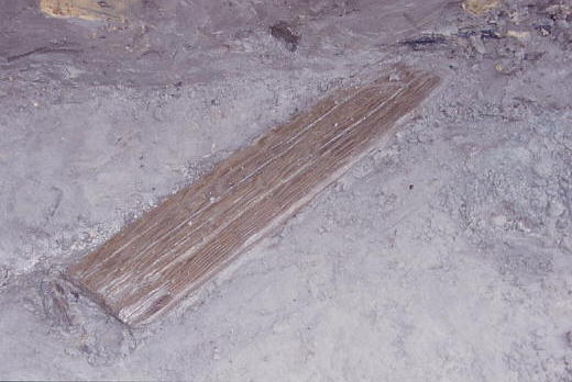 島根大学構内遺跡7次調査（橋本地区2）　板材出土状態