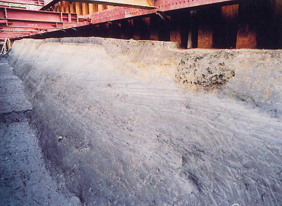 島根大学構内遺跡10次調査（橋本地区3）　C区南壁断面（北西から）