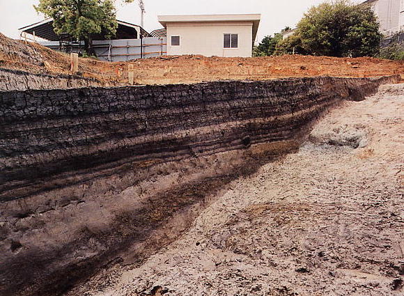 島根大学構内遺跡3次調査（深町地区1）　古宍道湾水辺に堆積した泥炭層