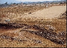 上長浜貝塚　発掘調査区近景（西から）
