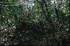 岩屋寺跡（2004年1月18日撮影）