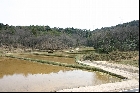 荒神谷遺跡遠景（2004年3月27日撮影）