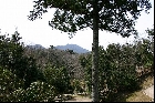 荒神谷遺跡からあおぐ仏経山（2004年3月27日撮影