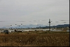 出雲国分寺から大山を望む（2004年1月12日撮影）