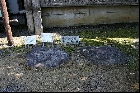 来美廃寺　礎石（風土記の丘に移設、2004年1月12日撮影）