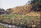 小浜山横穴墓群　東側斜面