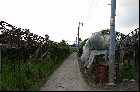 原山遺跡3（2004年6月12日撮影）