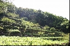 清水谷精錬所跡遠景（2004年8月15日撮影）