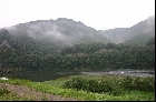 沖丈遺跡から江川をみる（2004年9月18日撮影）