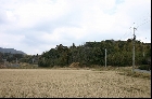 大垣大塚古墳群がある丘陵遠景（2005年2月5日撮影）