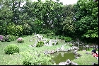 万福寺庭園（2005年5月6日撮影）