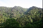 鰐淵寺蔵王窟がある山の遠景（2005年5月14日撮影）