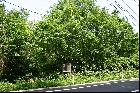 比丘尼塚古墳（2005年5月29日撮影）