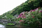 七尾城堀のなごりといわれる池（2005年5月6日撮影）