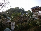 満願寺城跡（2006年1月29日撮影）