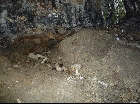サルガ鼻洞窟遺跡1号洞窟・1956.8.7トレンチ（2010.4.26）