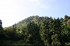 本谷から遥拝した仙ノ山（2012.10.13）