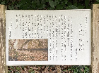 久戸千体地蔵（2024.6.27）